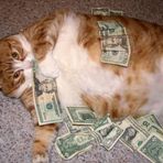 Caleb Parkhurst - Facebook