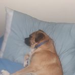 Kaleb Rhys Parkhurst - Facebook