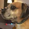 Caleb Parks The Storyteller - @caleb.parks.the.s - TikTok