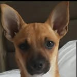 Caleb Parrish - @notthecriminal - Instagram