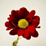 caleb parry - @caleb_parry69 - Instagram