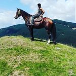 caleb parry - @headhunter.88 - Instagram