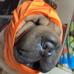 Caleb parsons - @calebparsons45 - Instagram