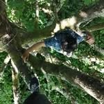 Caleb Paterson - @patersoncaleb145 - Instagram