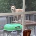 Caleb Patterson - Facebook