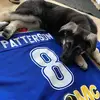 Caleb Patterson - @caleb.patterson82 - TikTok