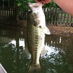 Caleb Patton - @large_mouth_nation_ - Instagram