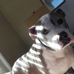 Caleb Patton - @caleb_patton110 - Instagram