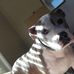 Caleb Patton - Facebook