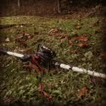 Cal3b Paxt0n - @caleb_paxton - Instagram