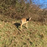 Caleb Paxton - @calebpaxton - Instagram