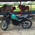 Caleb Paz - @caleb.paz.7399 - Instagram