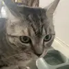 What the hell - @calebpeach52 - TikTok
