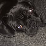 Caleb Pearce - @calebpearce4 - Instagram