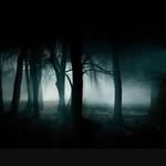 Caleb Pearce - @gumm1bear20 - Instagram