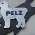 Pelz Caleb - @pelzcaleb_sanantonio - Instagram