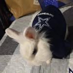 caleb pena - @caleb_pena99 - Instagram