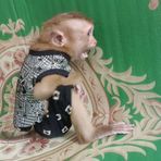 Caleb Pena - Facebook