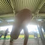 Caleb - @calebp.enny - Instagram