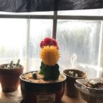 Caleb Pennington - @photogenicallycorrect - Instagram