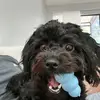 calebperdue23 - @calebperdue23 - TikTok