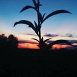 @caleb.perrin18 - Instagram