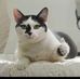 Caleb Perry - Facebook