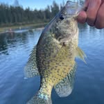 Caleb Peters - @caleb_peters6435 - Instagram