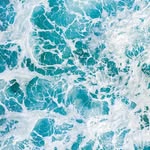 Caleb - @caleb.petersen - Instagram