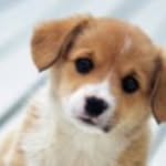 Caleb Petersen - @caleb.petersen801 - Instagram