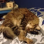 Caleb Williom Petty - @caleb30000 - Instagram