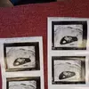 Caleb PHillips - @caleb.phillips94 - TikTok
