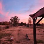Caleb Philpot - @calebphilpot0 - Instagram