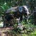 Caleb Philpot - Facebook