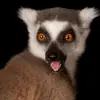 Caleb PIke - @uhhgttttgggtttg - TikTok