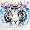 Caleb Pike - @chawub - TikTok