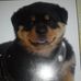 Caleb Piland - Facebook