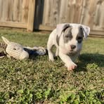 Caleb Plunk - Facebook