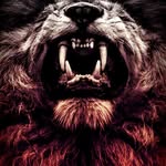 Caleb Polk - @lx_cxleb - Instagram