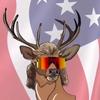 Theshortcountryboy - @caleb_polk - TikTok