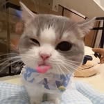 Caleb Ponce - @skippszn - Instagram