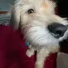 Caleb Ponce - @caleb.ponce72 - TikTok