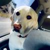 Caleb Post - @calebpost0 - TikTok
