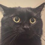 Caleb Post - @not_caleb_64 - Instagram