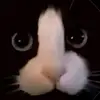 calebpowers69 - @calebpowers69 - TikTok
