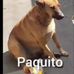 Caleb Preciado Hernandez - Facebook