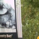 Caleb Prettyman - @2012prettyman - Instagram