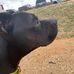 Caleb Price - Facebook