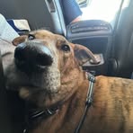 Caleb Putnam - Facebook