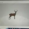 Caleb Pyles - @caleb_pyles1 - TikTok